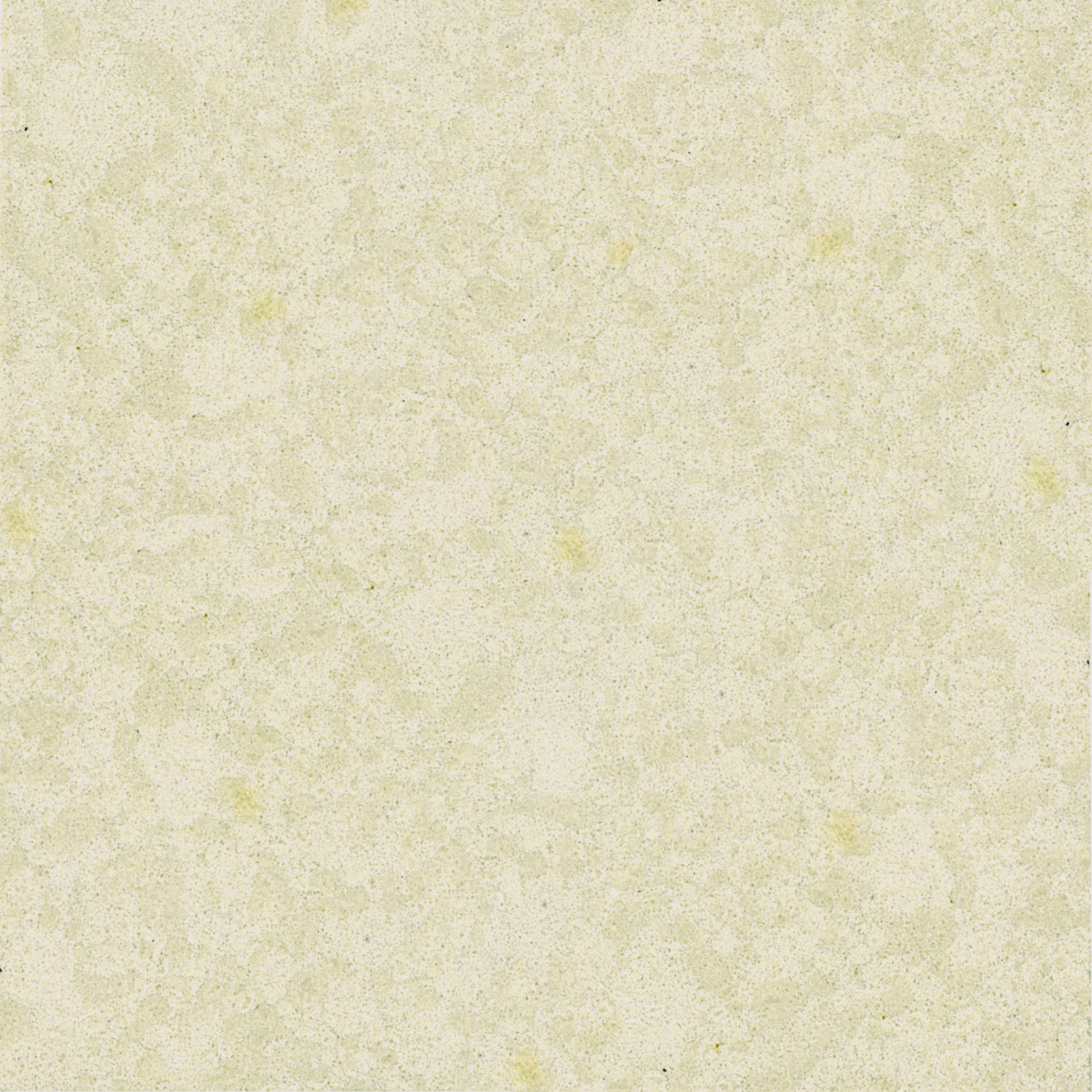 BIANCO AMBRA  306X123X20MM