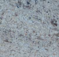 MOCCA CREME  20MM
