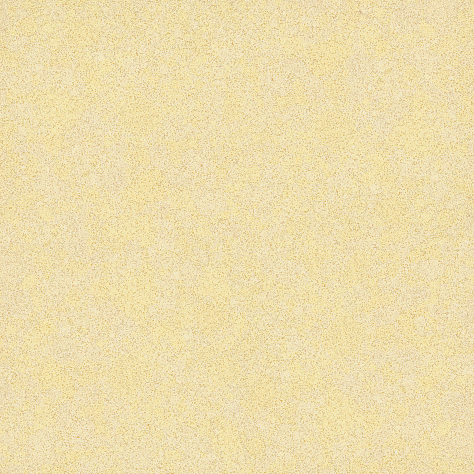 SOLE  306X123X20MM