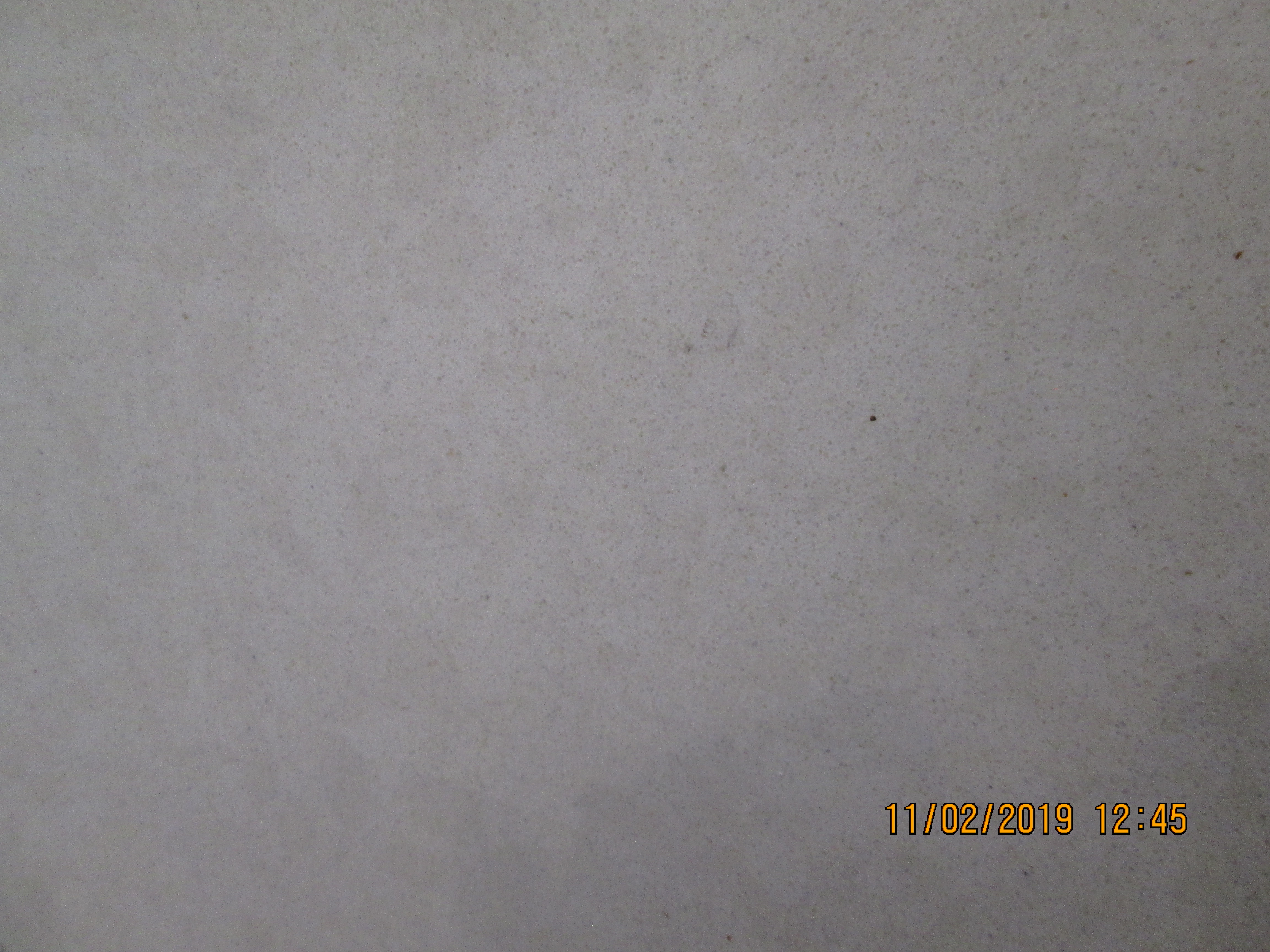 VERONA BEIGE 306X123X20MM